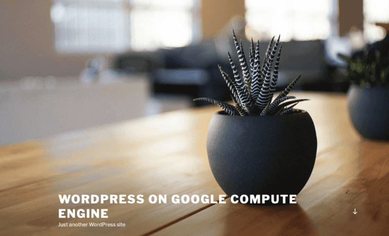 WordPressを速攻でGoogle Cloud Platform(GCP)に構築！